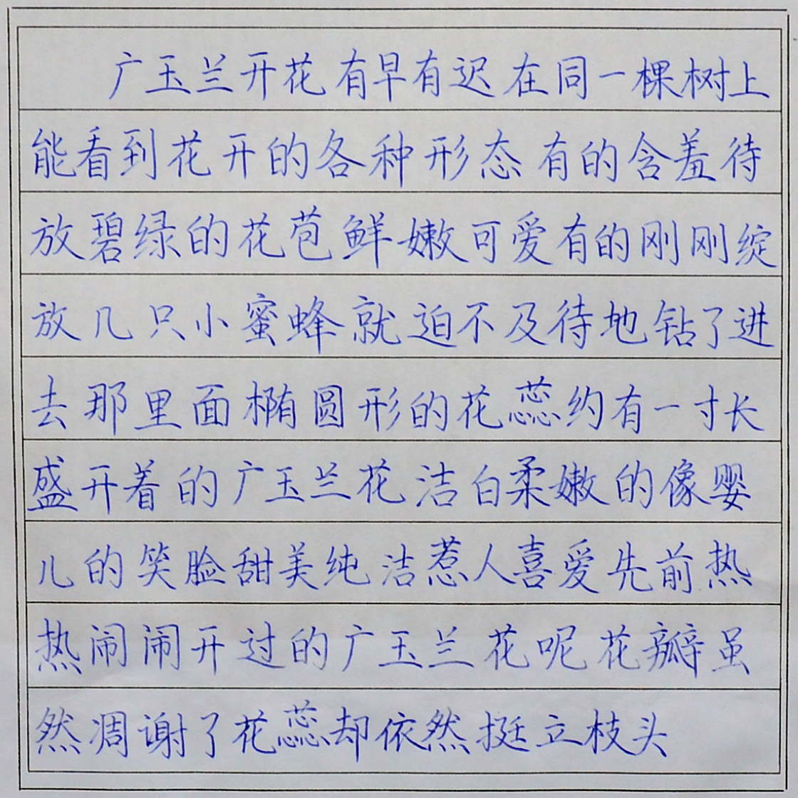 姓名：丁文轩