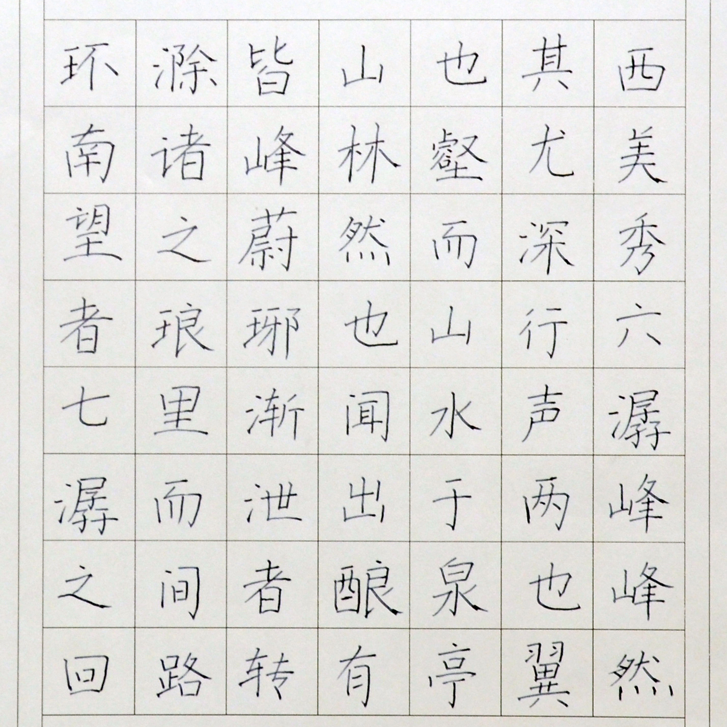 姓名：沈城宇