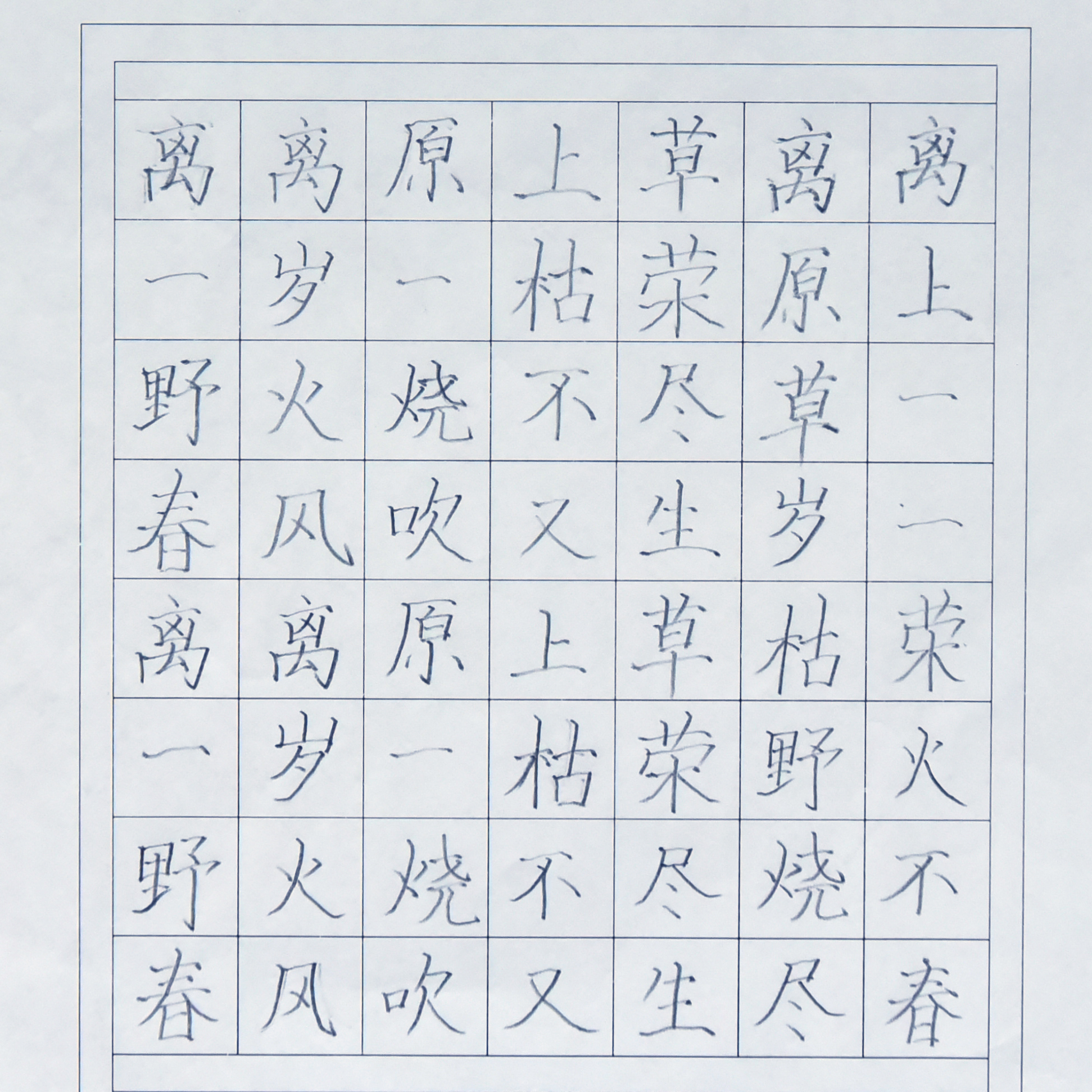 姓名：王奕欣
