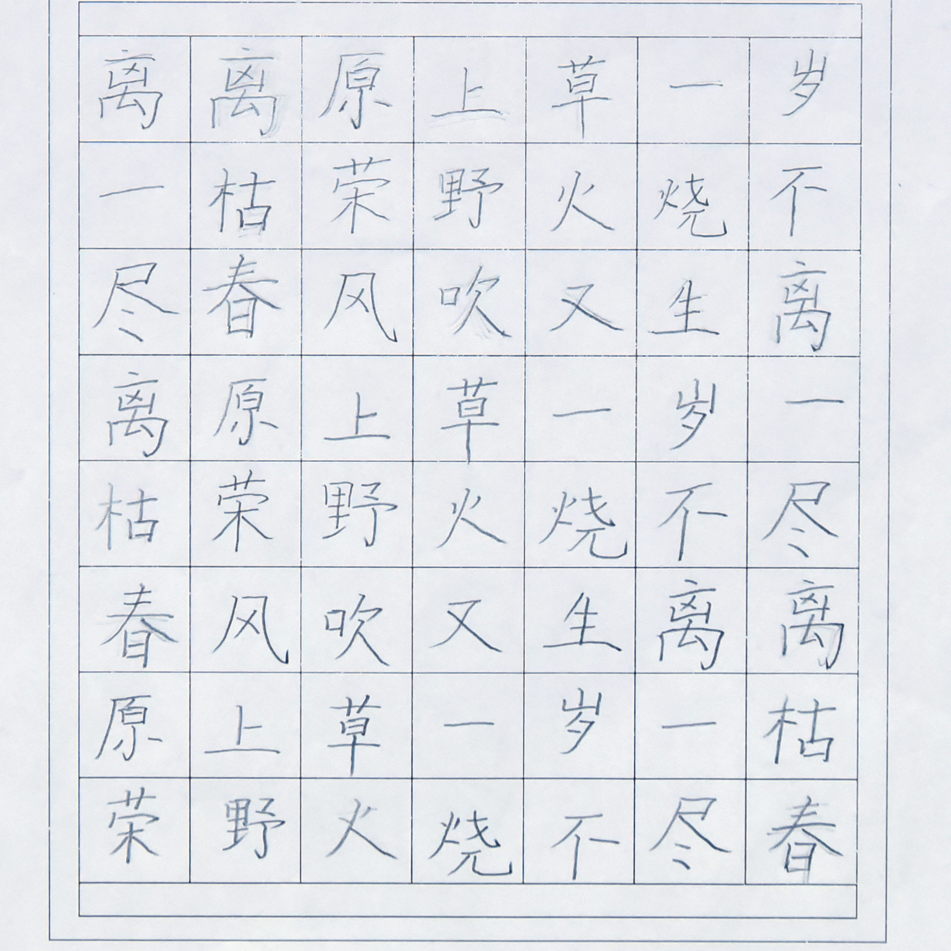 姓名：梁译冰