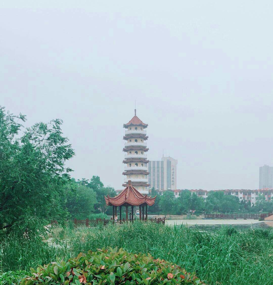 丰县凤鸣公园 