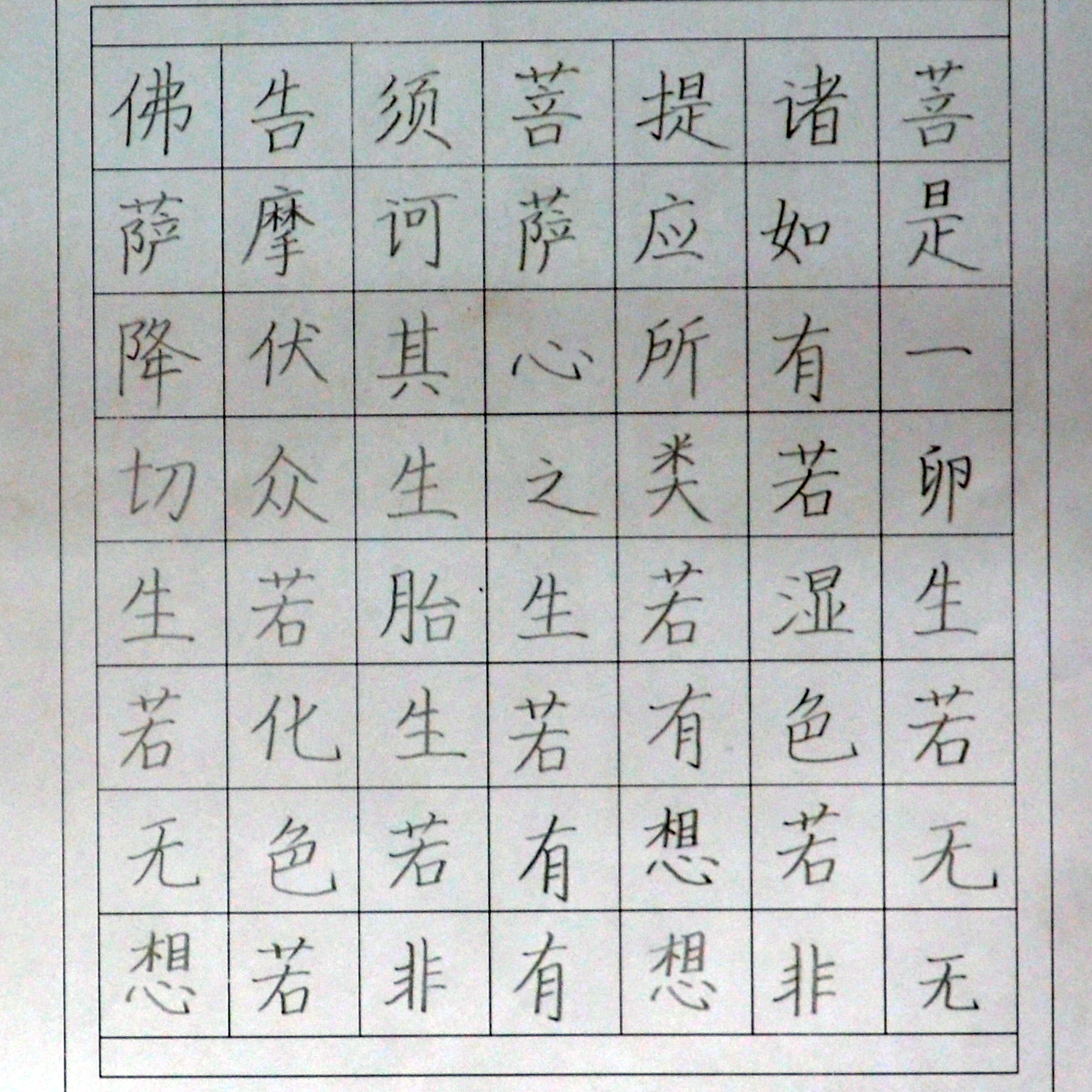 姓名：贾童舒