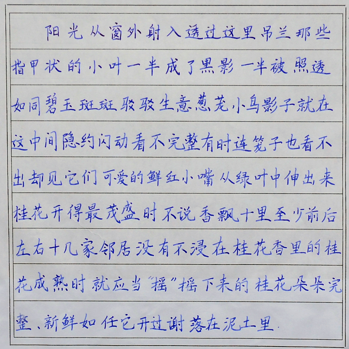 姓名：王盈盈