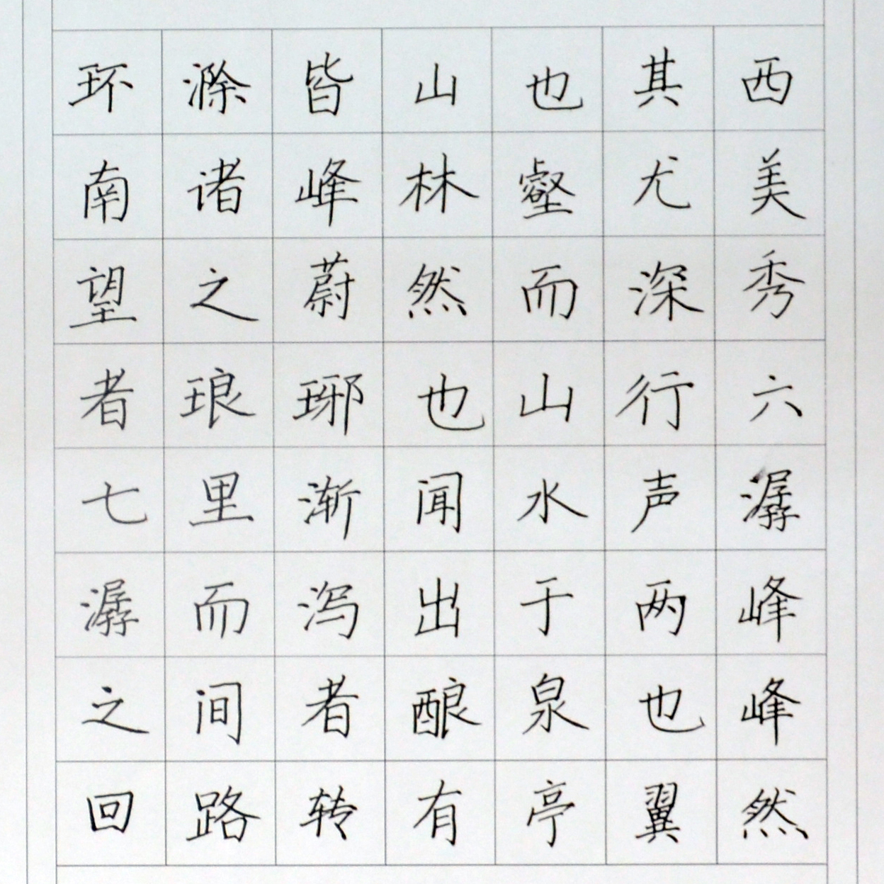 姓名：周桐宇