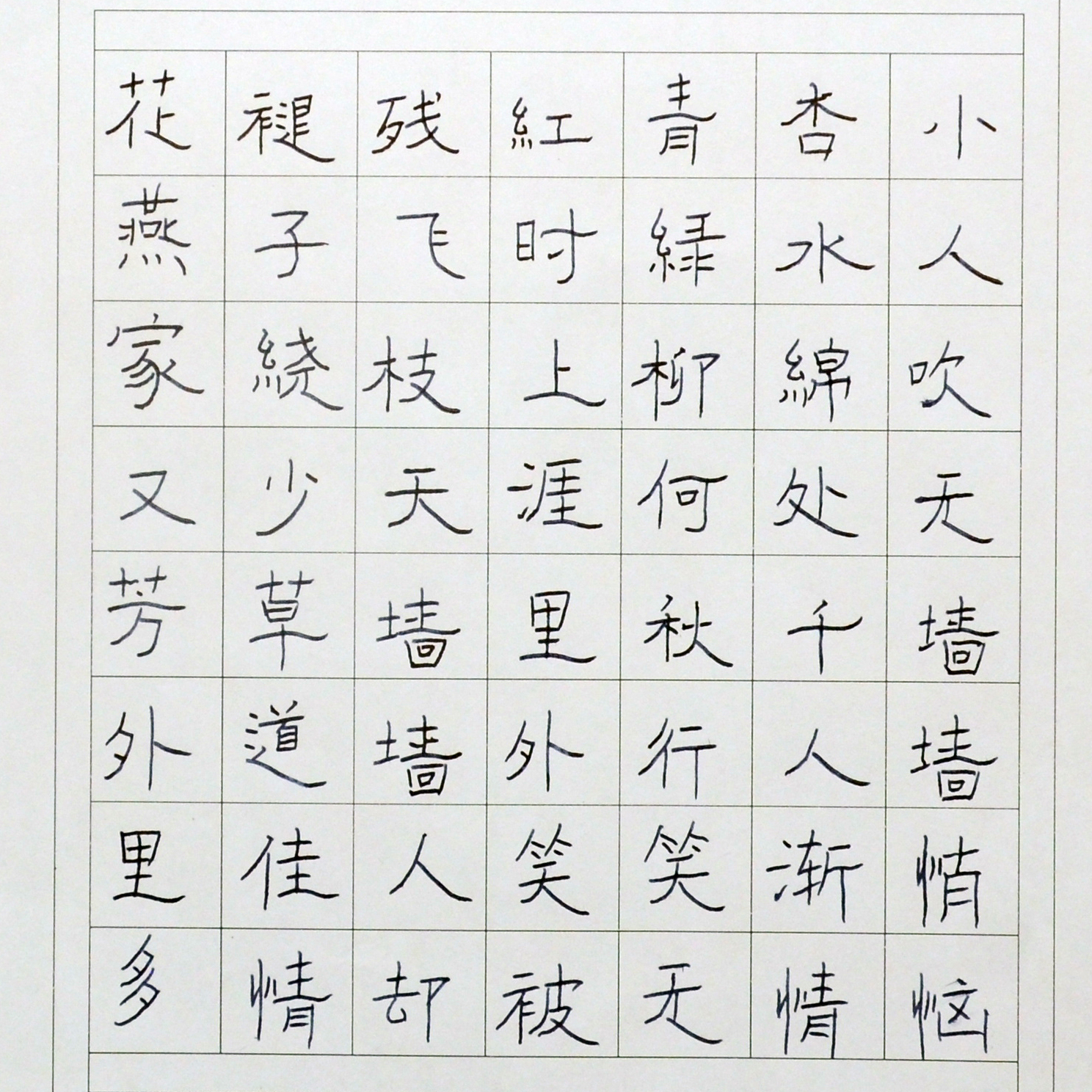 姓名：杨博涵
