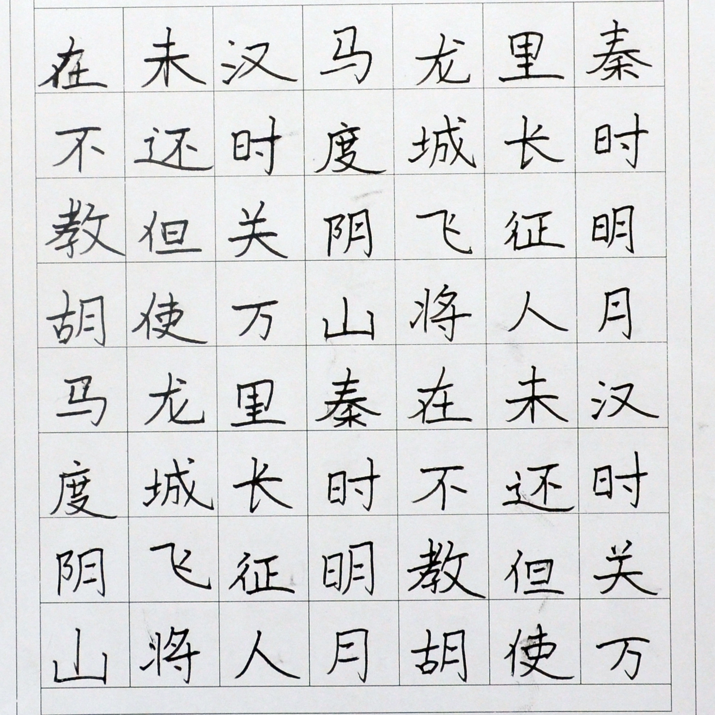 姓名：孙佳宁