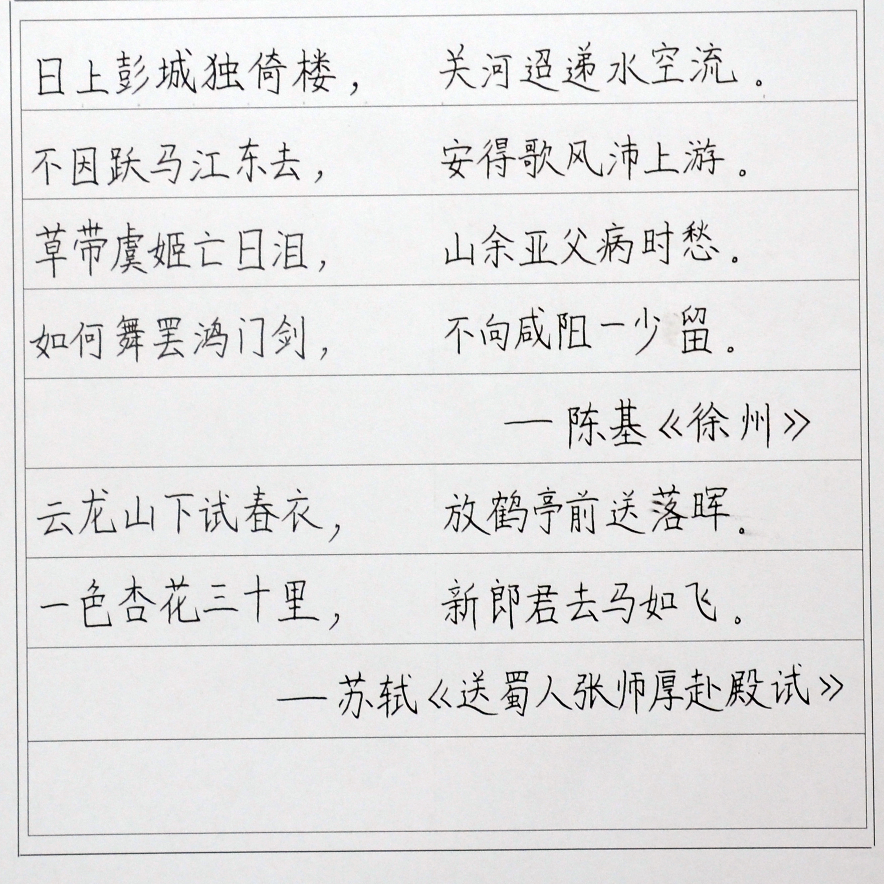 姓名：赵子璇