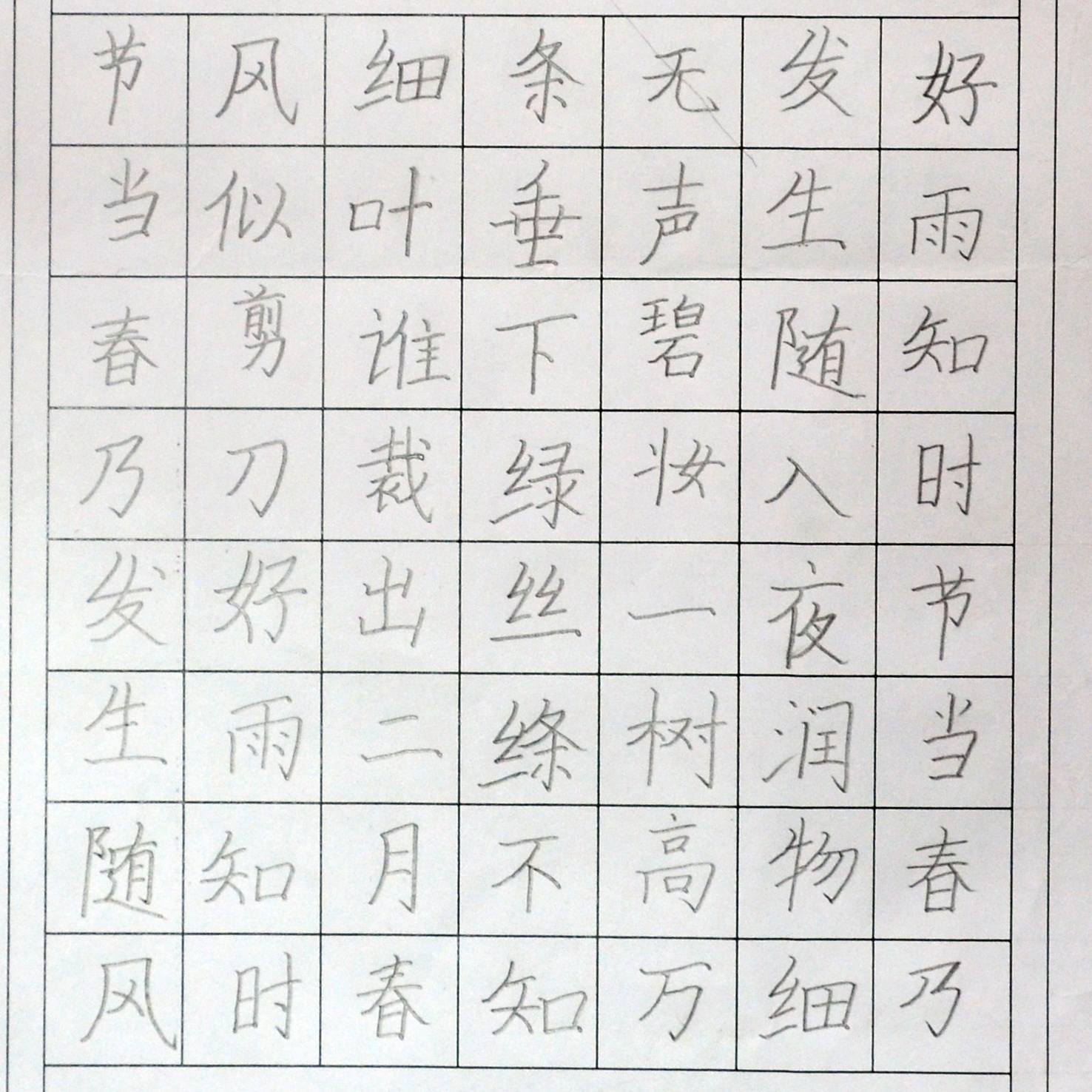 姓名：卢雨荷