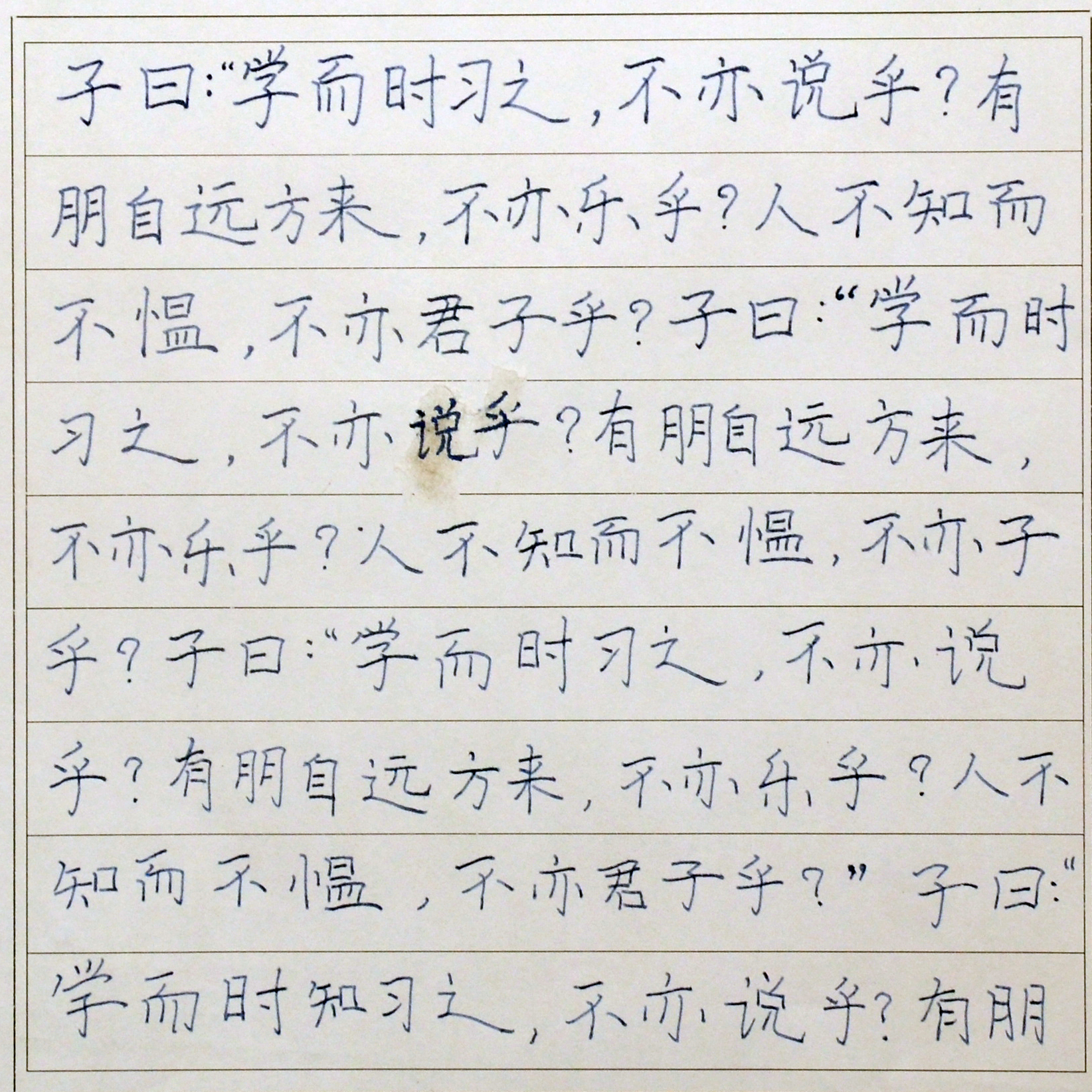 姓名：赵思晴