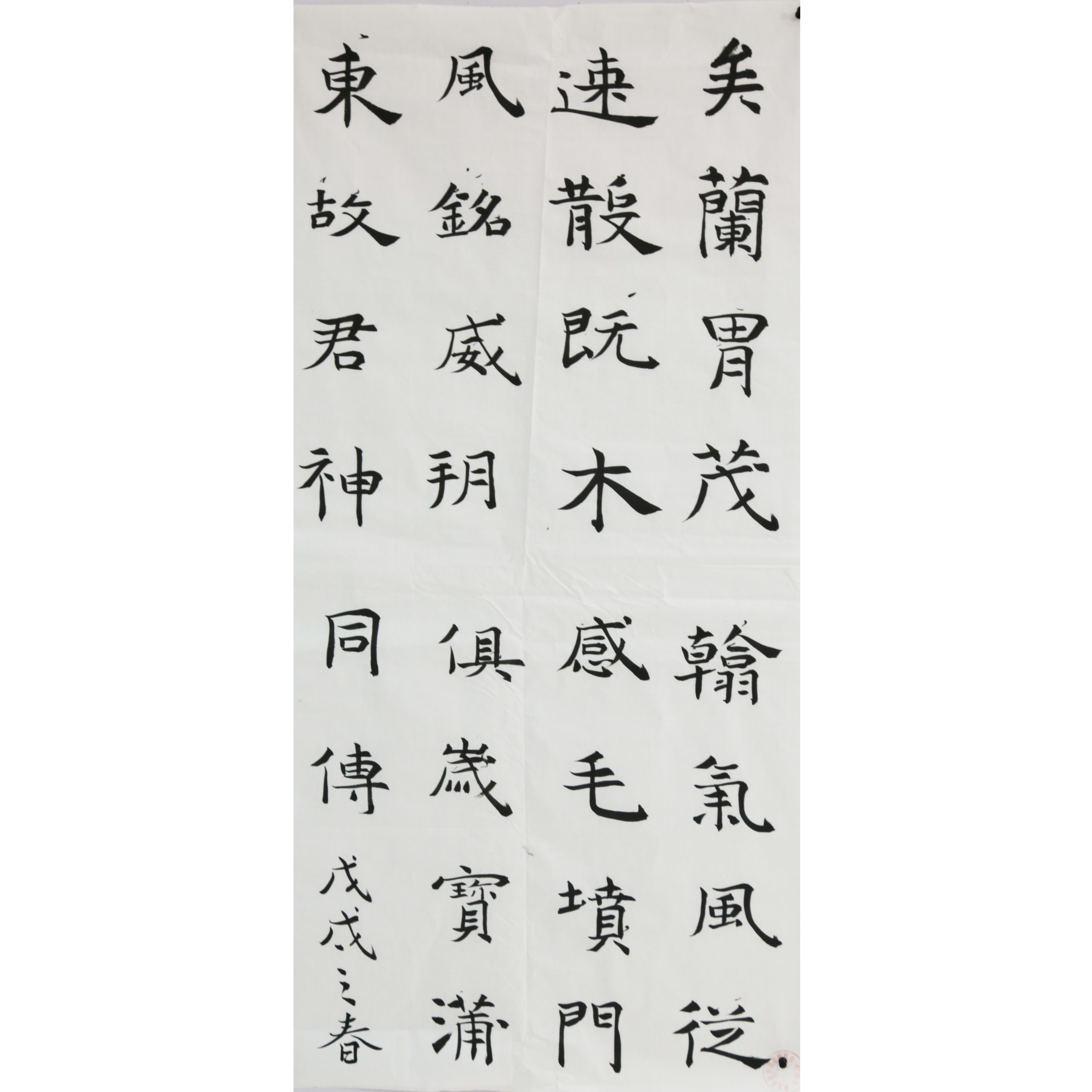 姓名：刘思琦