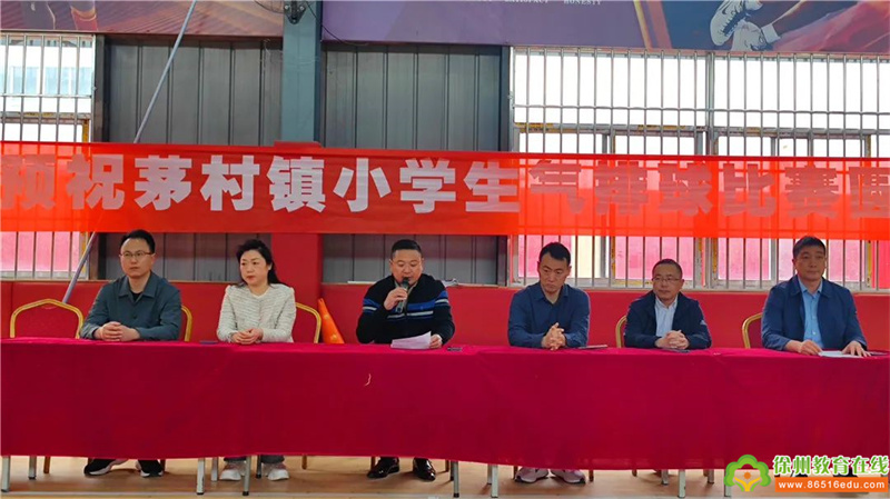 不畏强敌展风采，奋勇拼搏创佳绩——茅村镇举办小学生气排球比赛